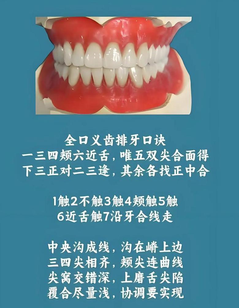 序齿排班：按年龄排序的古老组织方式详解