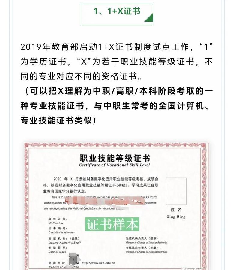 中职美术基础证书