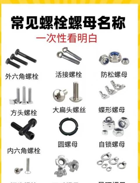 快速区分螺栓和螺母：详细对比解析