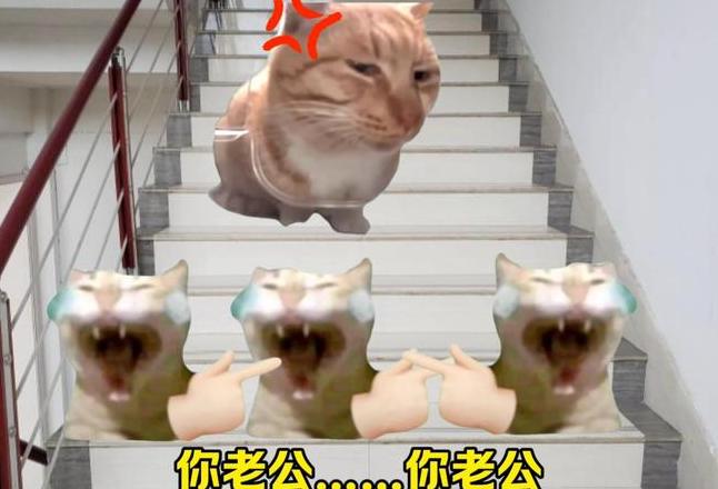 手拉手含义解析：友谊、亲密关系与网络主播新现象