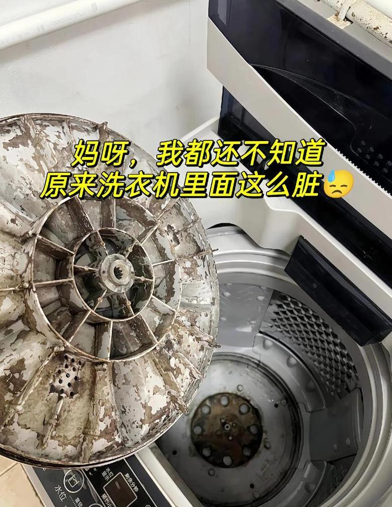 小苏打清洁洗衣机：轻松去除污垢，恢复洗衣桶洁净