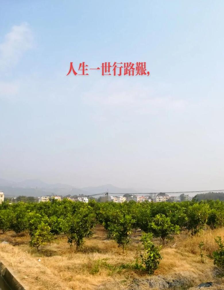冷眼看世界：毛泽东诗意解读