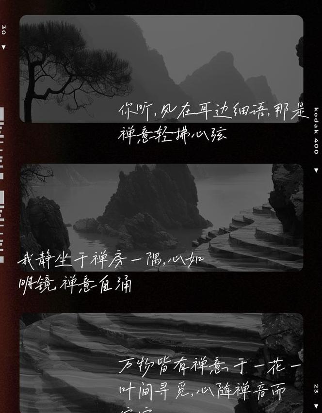 闭眼听风：探寻内心宁静的蔷薇之香