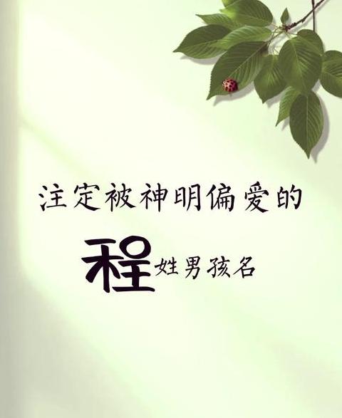 程姓宝宝取名攻略：2024年热门好名字推荐