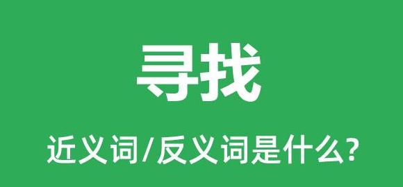 探索同义词：寻找相关词汇解析