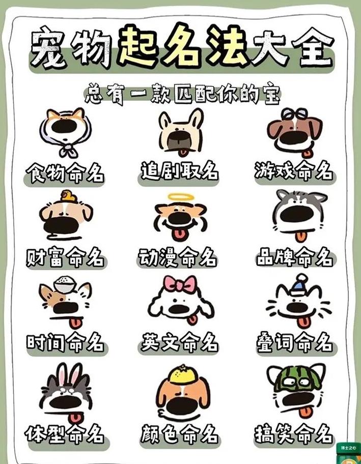泰拉瑞亚宠物获取攻略：揭秘隐藏获取方法