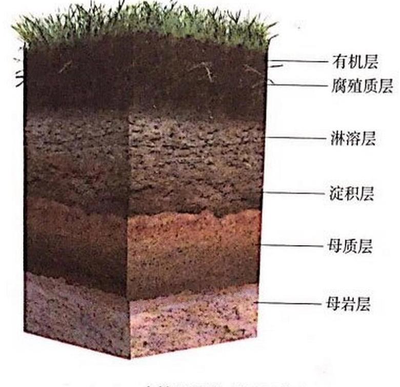 土是从哪里来的呢(地球的泥土是怎么来的)