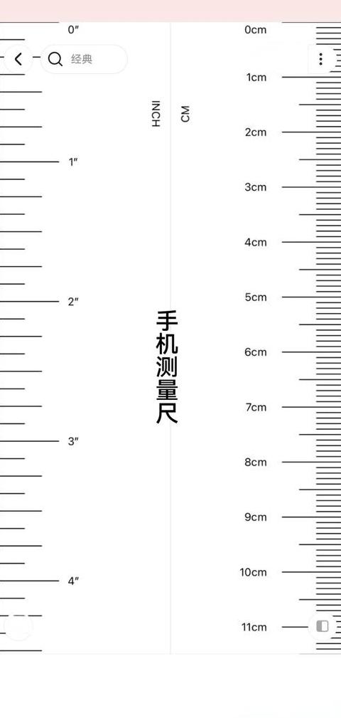 计数与测量、标号与排序：差异详解与SEO优化