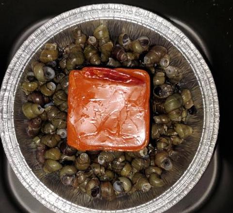 螺母太紧拧不开用白醋