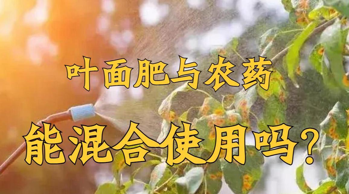 0W-20与5W-30机油混加影响及使用指南