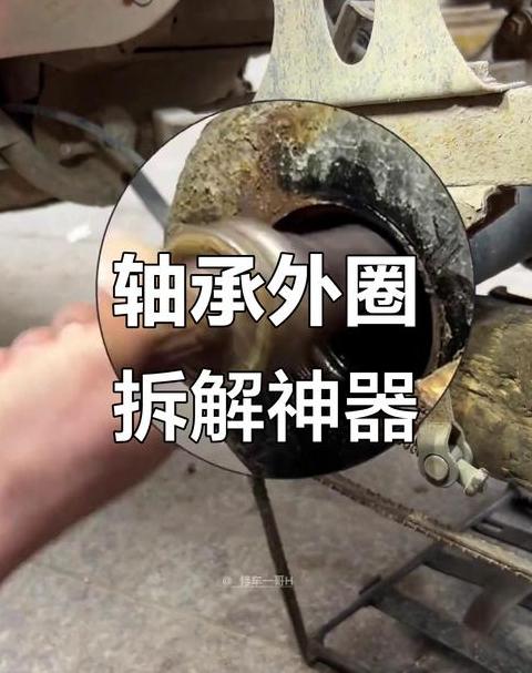 轴承内外圈都需要固定吗