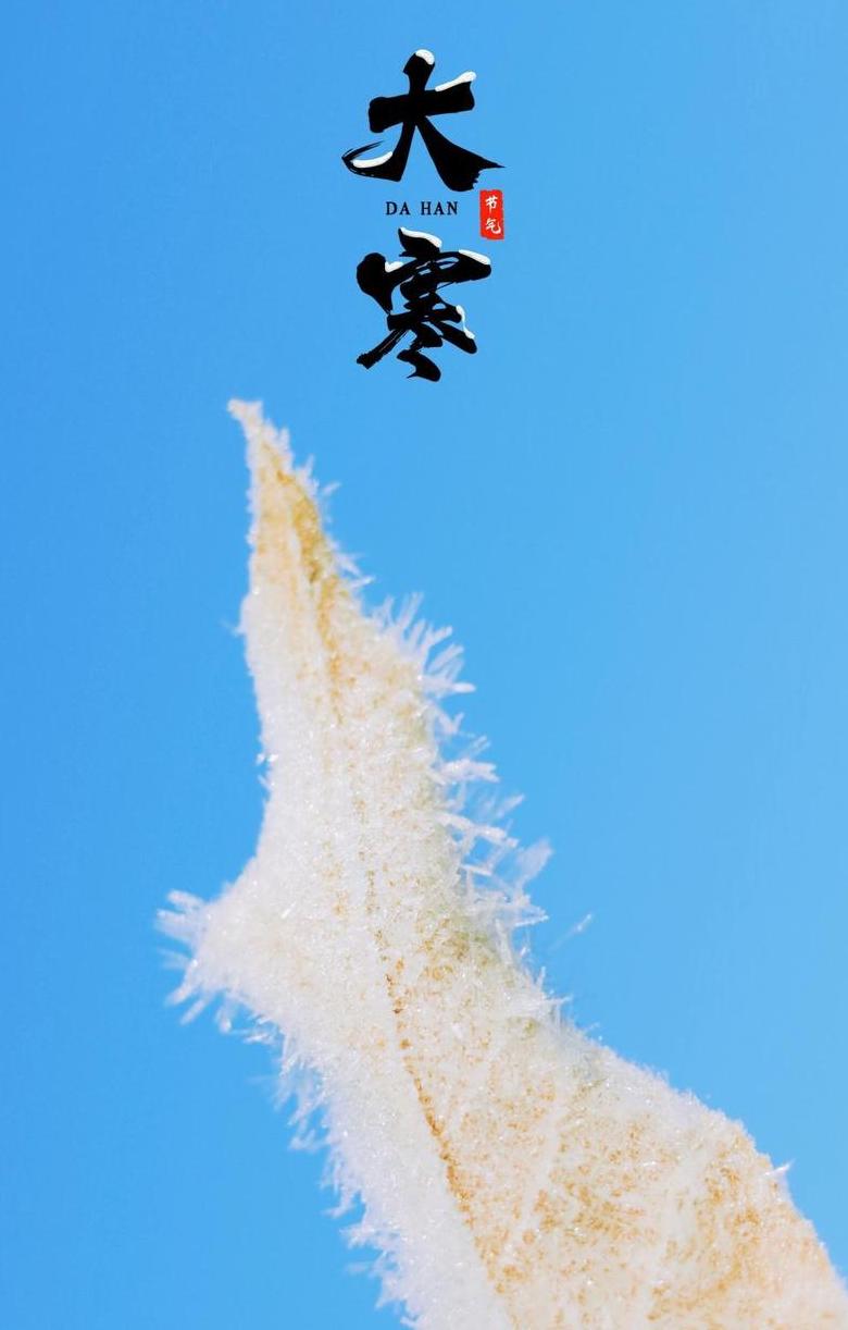 寒的反义词是什么？揭秘‘冷’的温暖面