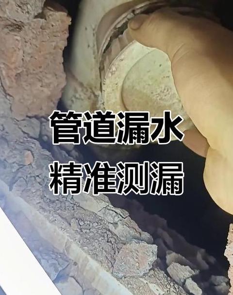 户内下水主管道漏水谁负责