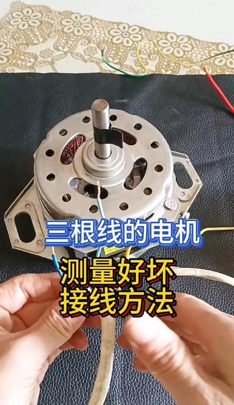 双筒洗衣机电容配置揭秘：容量与型号详解