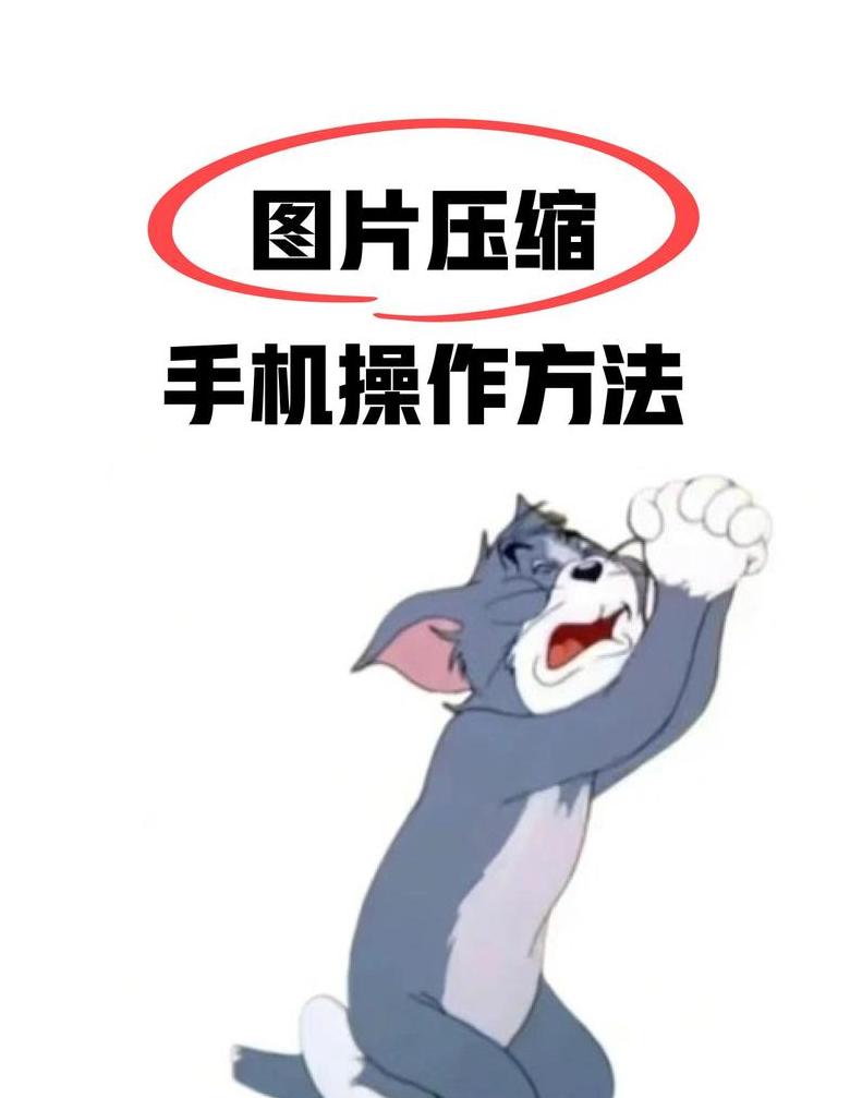 手机文件里面的压缩包
